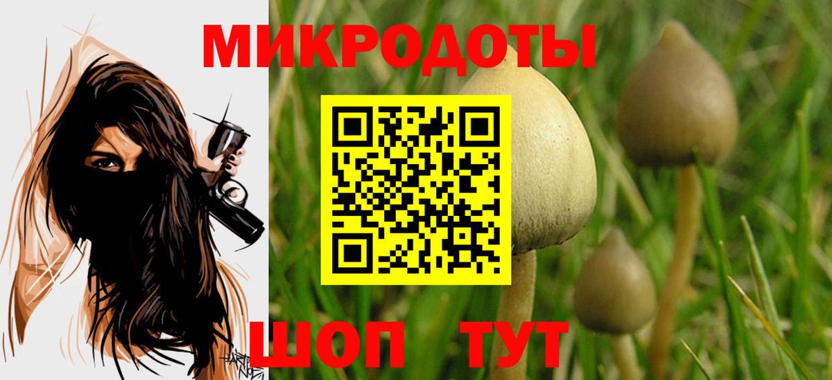Псилоцибиновые грибы GOLDEN TEACHER  Вход с VPN  Аша 
