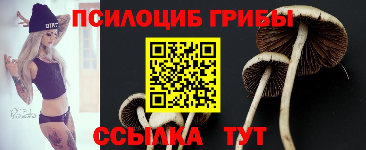 ГАШ  Аша  Марихуана  МЕФ   Вход с VPN 